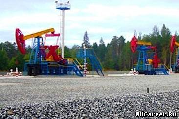 Стартовал проект Стартовал проект