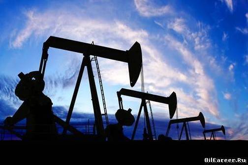 Росприроднадзор предлагает отозвать лицензии у «Роснефти» и ТНК-ВР Росприроднадзор предлагает отозвать лицензии у «Роснефти» и ТНК-ВР