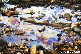 Бактериальная защита для нефтяных загрязнений